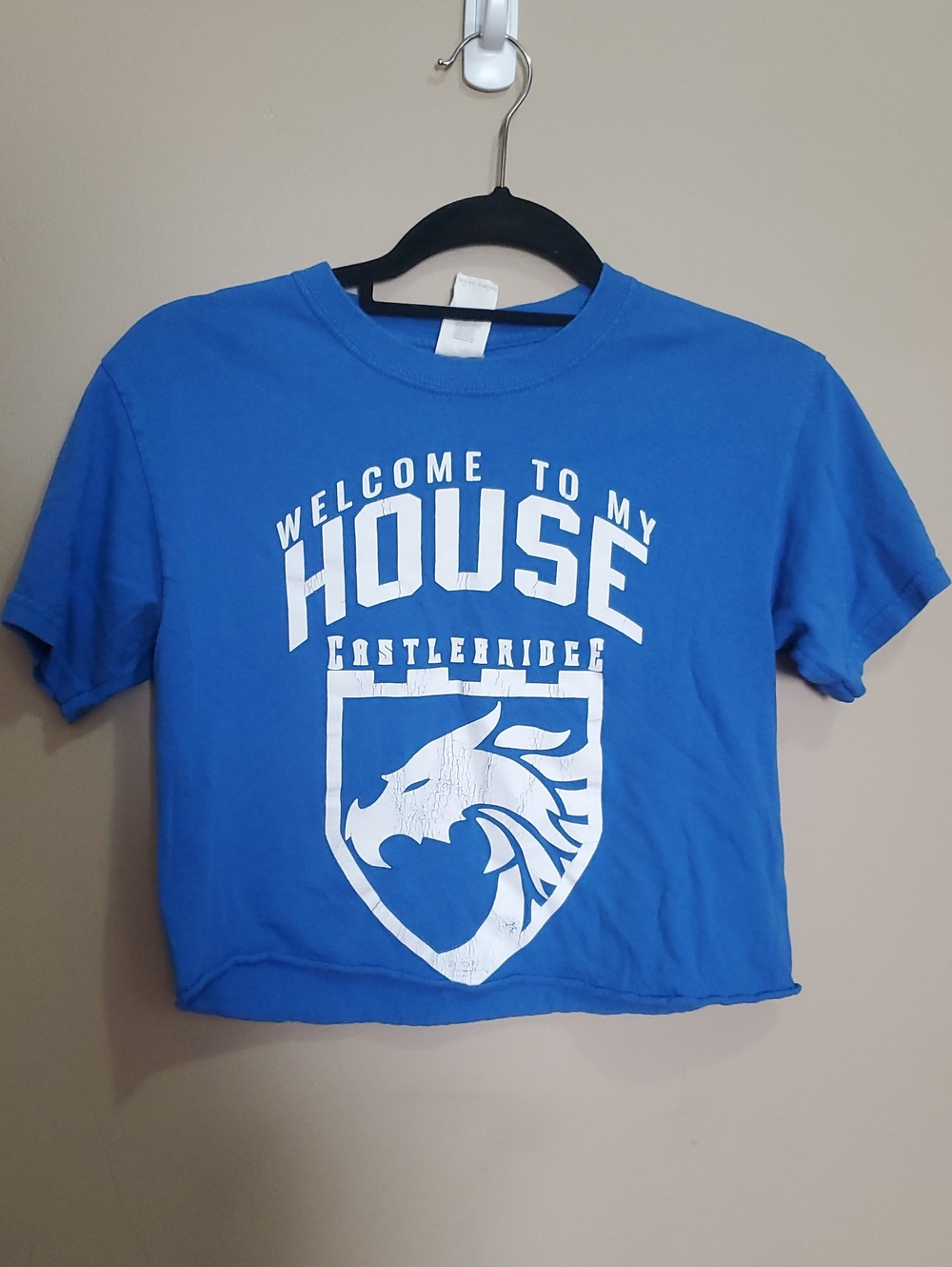 Welcome To My House Blue Graphic Crop Tee Size Medium